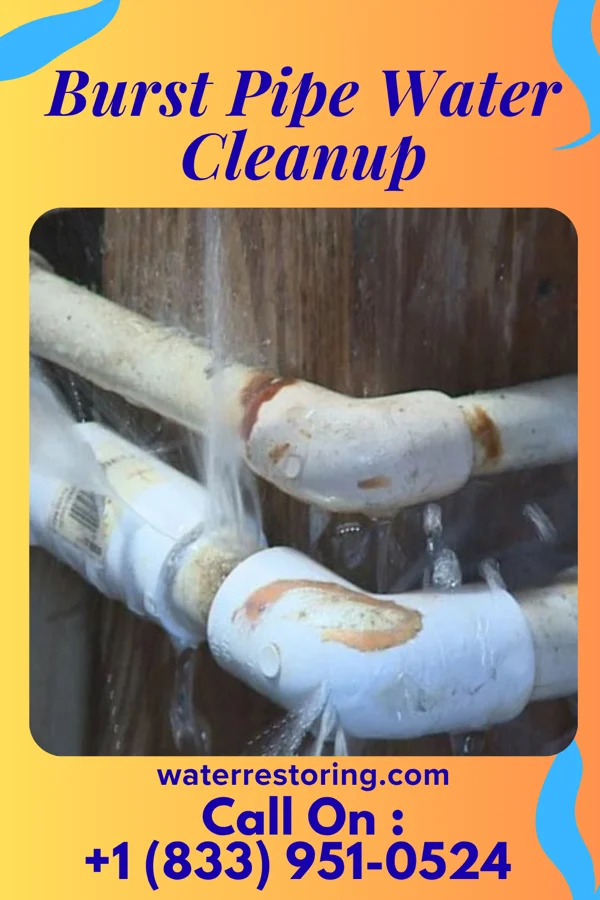 Burst Pipe Water Cleanup in Wendell, NC