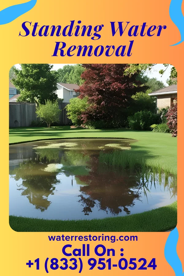 Standing Water Removal in Wendell, NC